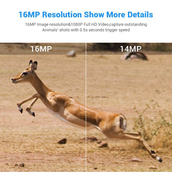 BOBLOV CT005 16MP 1080P Trail Camera 0.5S Trigger Time Waterproof IP66 Wild Camera Free 8G/16G/32G Card for Security Farm Fast - Canada Outdoors