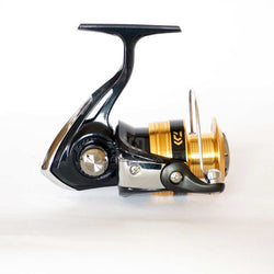 Daiwa SWEEPFIRE fishing reel 1500-4000 size with Metail Spool 2KG-6KG Power for beginner - Canada Outdoors