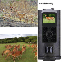 Suntekcam HC-700A Hunting Camera LED Photo Trap Trail Camera Night Vision Video Surveillance Wild Cameras 16MP Camera Trap - Canada Outdoors
